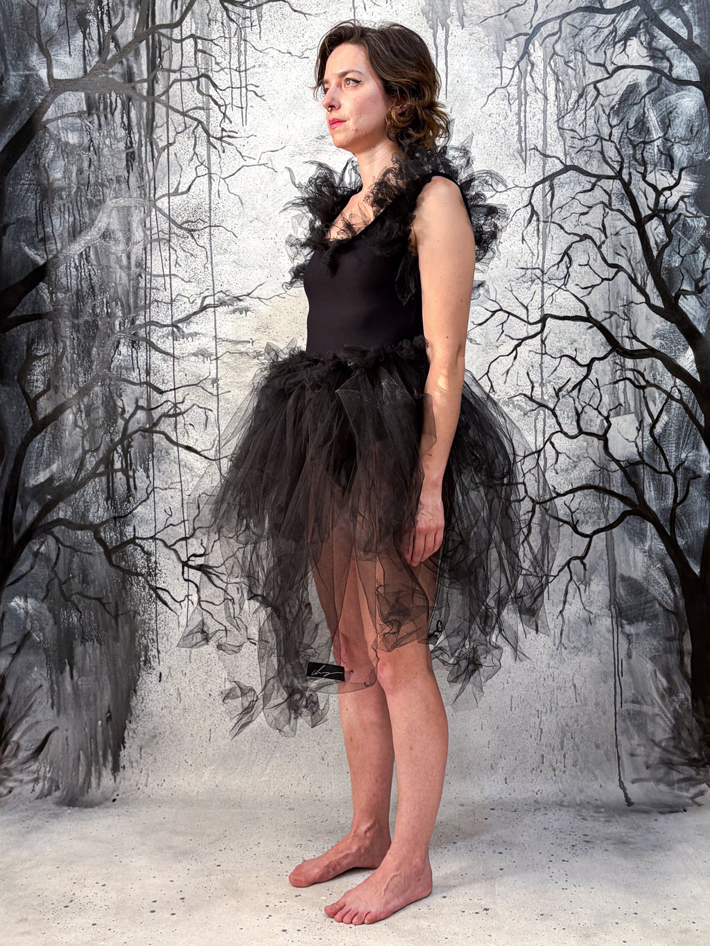 Chaigne dark ballerina dress